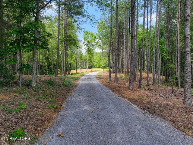 1214 Stanton Rd, Seymour, TN 37865 - photo 3