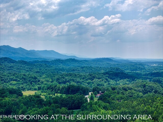 1214 Stanton Rd, Seymour, TN 37865 - photo 40