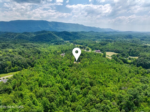 1214 Stanton Rd, Seymour, TN 37865 - photo 32