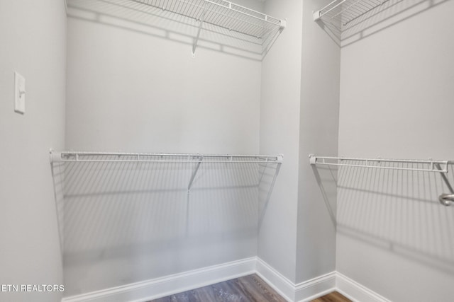 205 Harper Village Way, Lenoir City, TN 37771 - walk in closet with wood finished floors