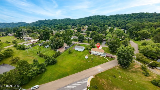 4416 Foley Dr, Knoxville, TN 37918 - photo 48