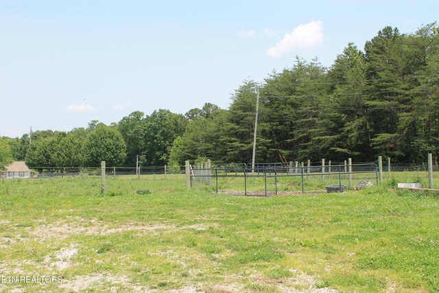 831 Fritzsche, Jamestown, TN 38556 - view of yard with a rural view and a forest view