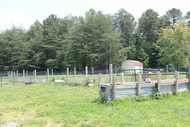831 Fritzsche, Jamestown, TN 38556 - view of yard