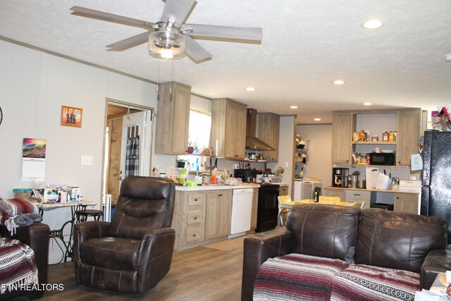 831 Fritzsche, Jamestown, TN 38556 - living area featuring light wood-style floors, ceiling fan, recessed lighting, and separate washer and dryer