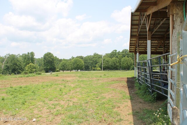 831 Fritzsche, Jamestown, TN 38556 - view of yard with an exterior structure, a wooded view, a rural view, and an outbuilding