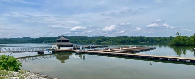 LOT196 419 Hawks Bnd, Loudon, TN 37774 - photo 15