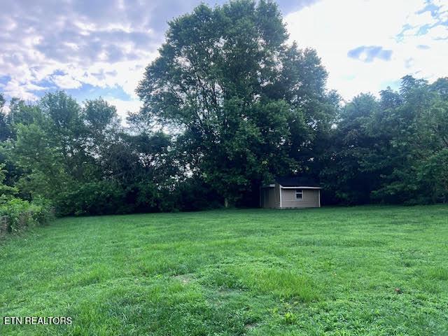 7832 Brickyard Rd, Powell, TN 37849 - view of green lawn
