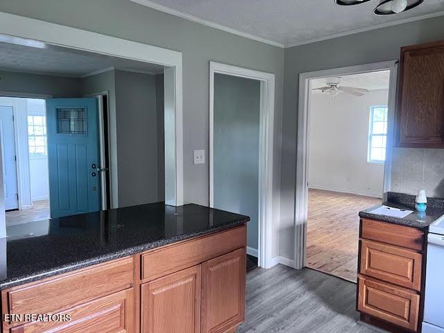 7832 Brickyard Rd, Powell, TN 37849 - kitchen with ornamental molding, light wood finished floors, plenty of natural light, and dark stone countertops