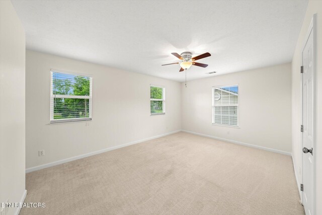 425 Atlantic Ave, Knoxville, TN 37917 - photo 14