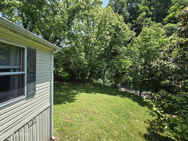 417 Ely Town Rd, Dryden, VA 24243 - view of green lawn