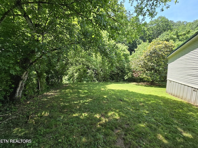 417 Ely Town Rd, Dryden, VA 24243 - view of green lawn with a forest view