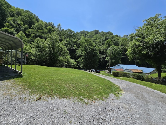 417 Ely Town Rd, Dryden, VA 24243 - view of green lawn featuring gravel driveway and a wooded view