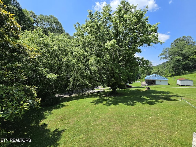 417 Ely Town Rd, Dryden, VA 24243 - view of green lawn with an outbuilding