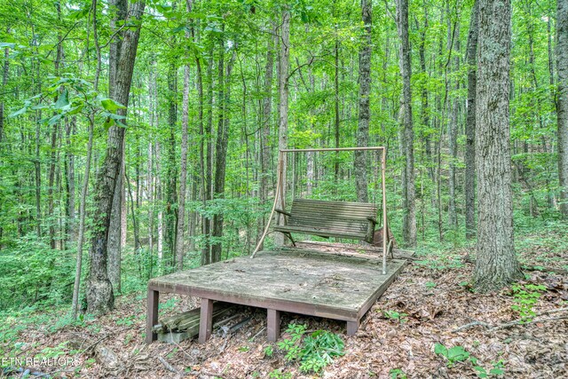 130 Pleasantview Dr, Harriman, TN 37748 - photo 10