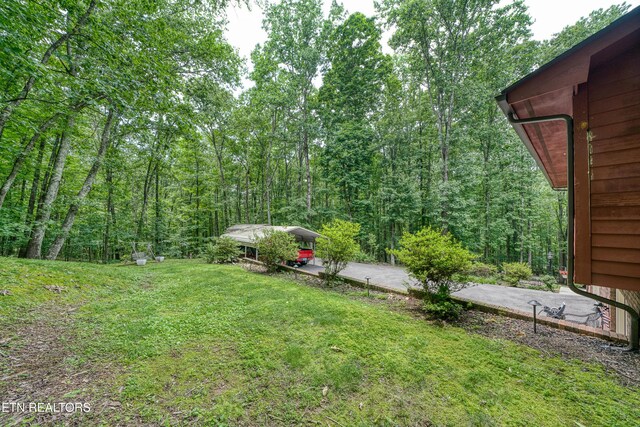130 Pleasantview Dr, Harriman, TN 37748 - photo 14