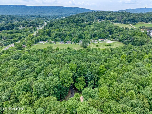 130 Pleasantview Dr, Harriman, TN 37748 - photo 18