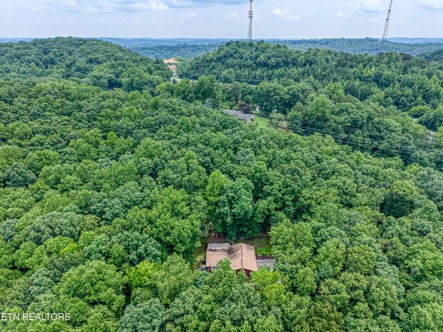 130 Pleasantview Dr, Harriman, TN 37748 - photo 19