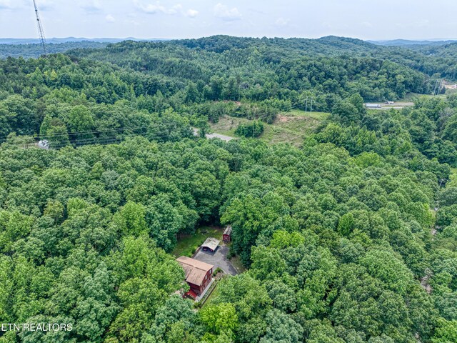 130 Pleasantview Dr, Harriman, TN 37748 - photo 20