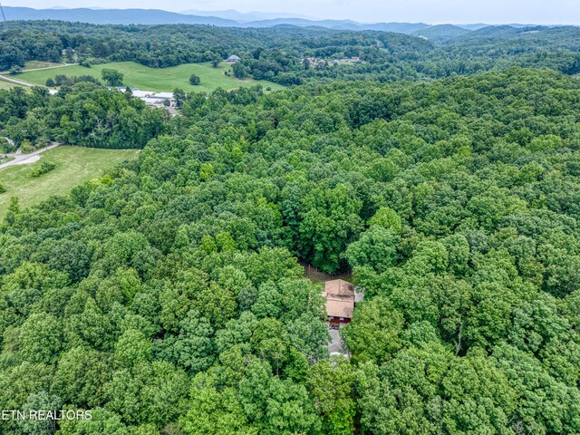 130 Pleasantview Dr, Harriman, TN 37748 - photo 22