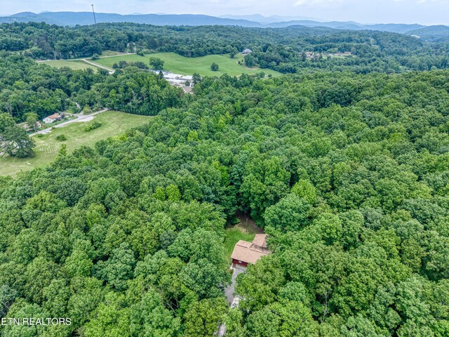 130 Pleasantview Dr, Harriman, TN 37748 - photo 23