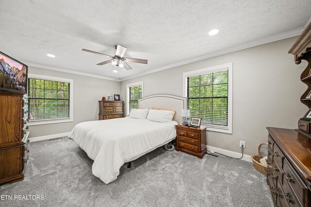 130 Pleasantview Dr, Harriman, TN 37748 - photo 35