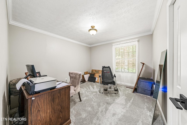 130 Pleasantview Dr, Harriman, TN 37748 - photo 42