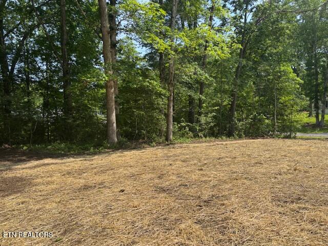 3027 Ocalala Trl, Crossville, TN 38572 - photo 19