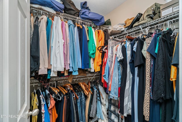 8431 Vessel Ln, Powell, TN 37849 - view of spacious closet