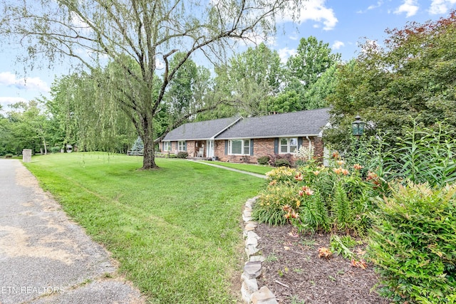 314 Longview Dr, Wartburg, TN 37887 - single story home with a front yard, brick siding, and roof with shingles