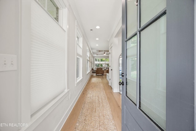 1007 Wigmore Way, Knoxville, TN 37932 - hallway with light wood-style floors and recessed lighting