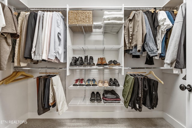 1007 Wigmore Way, Knoxville, TN 37932 - spacious closet with carpet