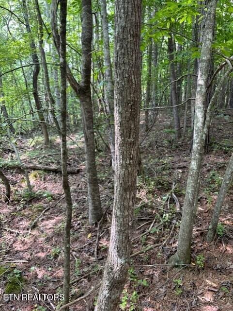 Indigo Bunting Dr, Harriman, TN 37748 - photo 1