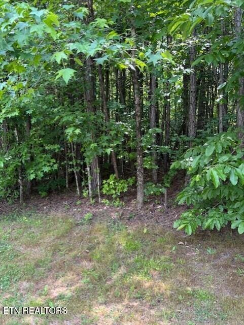 Indigo Bunting Dr, Harriman, TN 37748 - photo 3