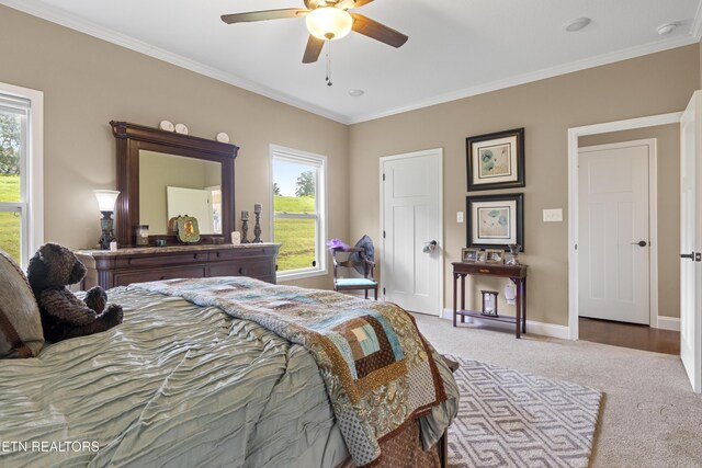1101 Blockhouse Rd, Maryville, TN 37803 - photo 17