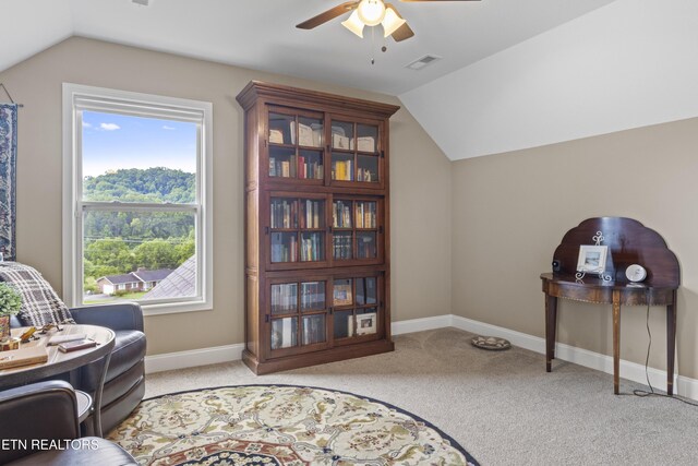 1101 Blockhouse Rd, Maryville, TN 37803 - photo 20