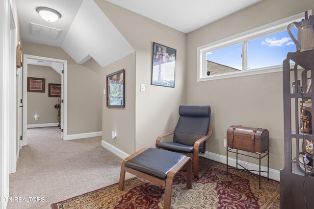 1101 Blockhouse Rd, Maryville, TN 37803 - photo 21