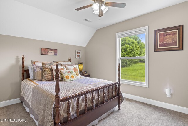 1101 Blockhouse Rd, Maryville, TN 37803 - photo 23