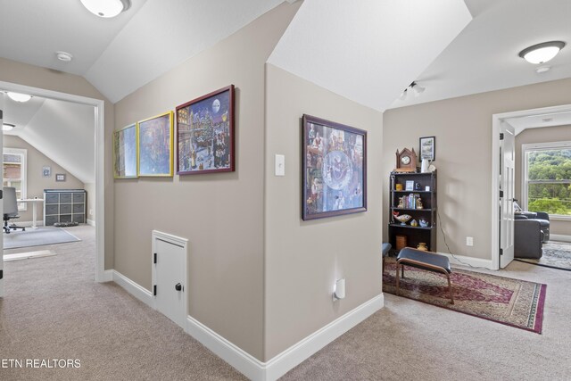 1101 Blockhouse Rd, Maryville, TN 37803 - photo 25