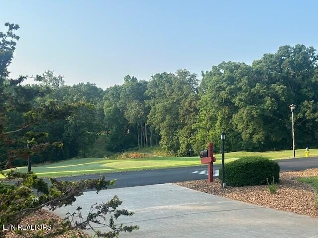 140 Chuniloti Way, Loudon, TN 37774 - surrounding community featuring a yard