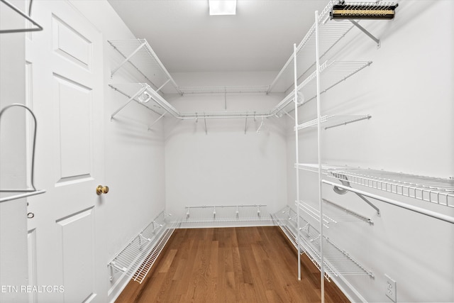 140 Chuniloti Way, Loudon, TN 37774 - walk in closet with wood finished floors