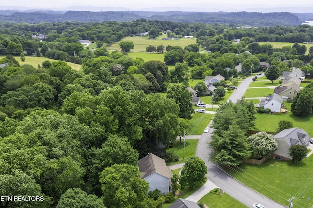 1312 Zachary Taylor Rd, Knoxville, TN 37922 - aerial perspective of suburban area featuring a forest