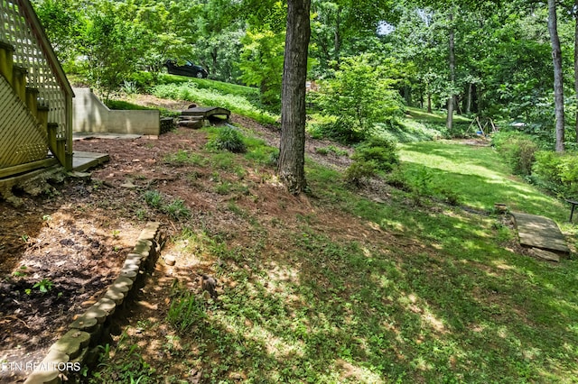 1312 Zachary Taylor Rd, Knoxville, TN 37922 - view of grassy yard featuring a view of trees