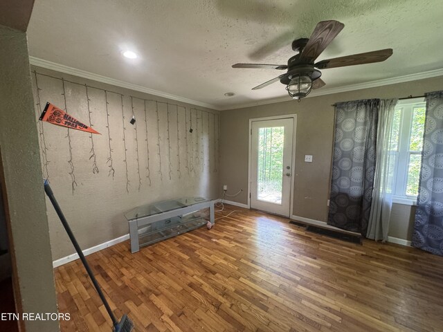 305 Augusta Ave, Maryville, TN 37804 - photo 12