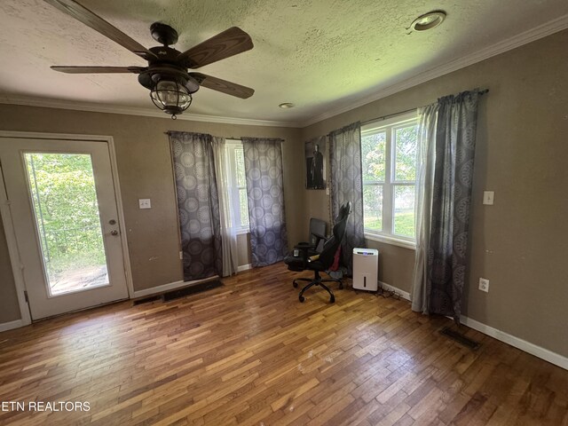305 Augusta Ave, Maryville, TN 37804 - photo 13