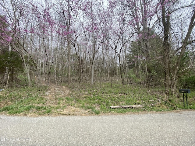 TBD Chestnut Cir, Lafollette, TN 37766 - view of woods