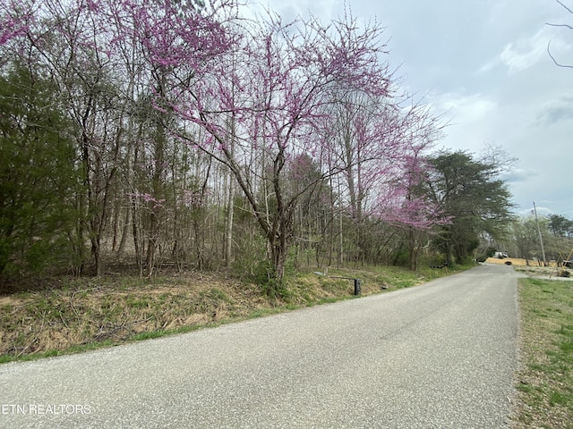 TBD Chestnut Cir, Lafollette, TN 37766 - view of asphalt road