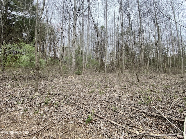 TBD Chestnut Cir, Lafollette, TN 37766 - view of undeveloped land