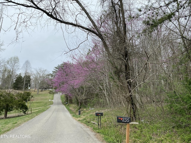 TBD Chestnut Cir, Lafollette, TN 37766 - view of street
