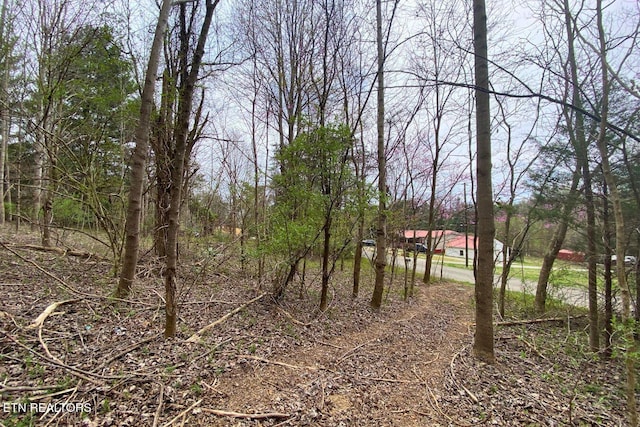 TBD Chestnut Cir, Lafollette, TN 37766 - view of local wilderness
