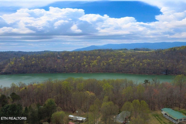 TBD Chestnut Cir, Lafollette, TN 37766 - water view featuring a heavily wooded area and a mountain backdrop
